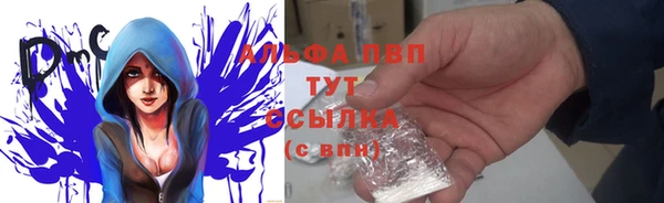 соль ск Алексин