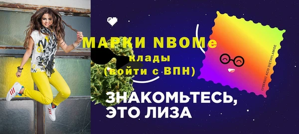 соль ск Алексин