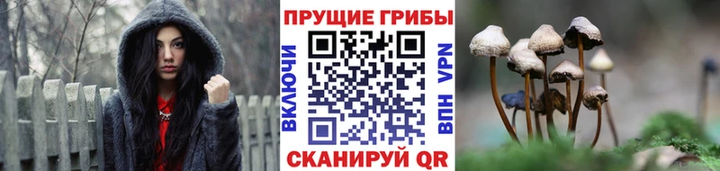 Галлюциногенные грибы GOLDEN TEACHER  hydra ссылки  Руза 